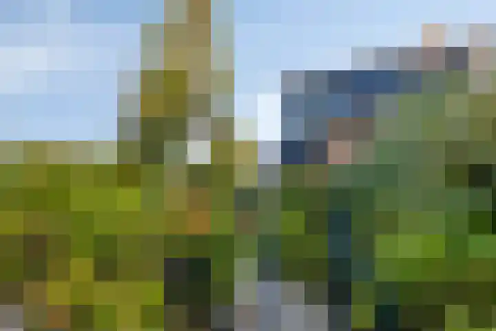 Kapberg 29 Zwaag thumbnail 32