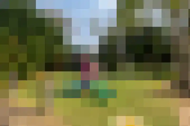 Kapberg 29 Zwaag thumbnail 34