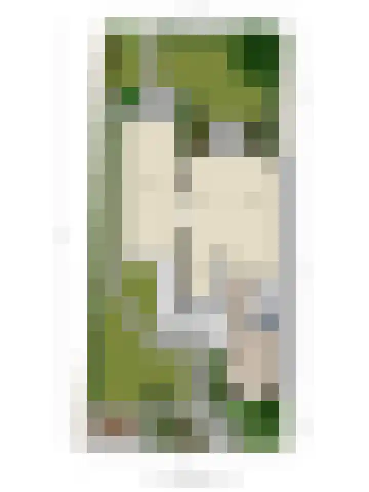 Kapberg 29 Zwaag thumbnail 35
