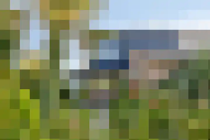 Kapberg 29 Zwaag thumbnail 7