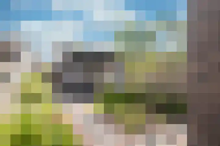 Kapberg 42 Genemuiden thumbnail 22