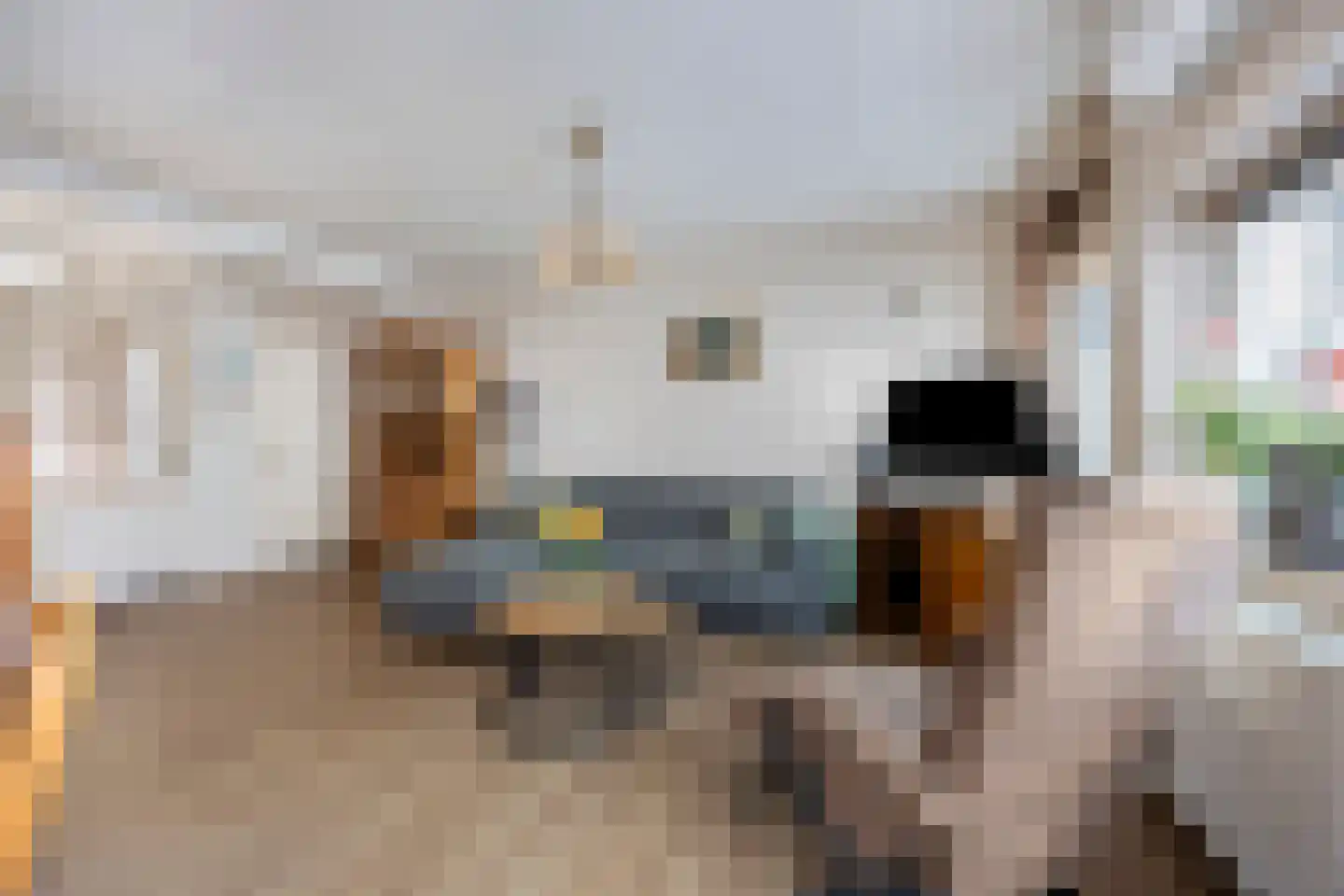 Kapberg 55 Zwaag thumbnail 10