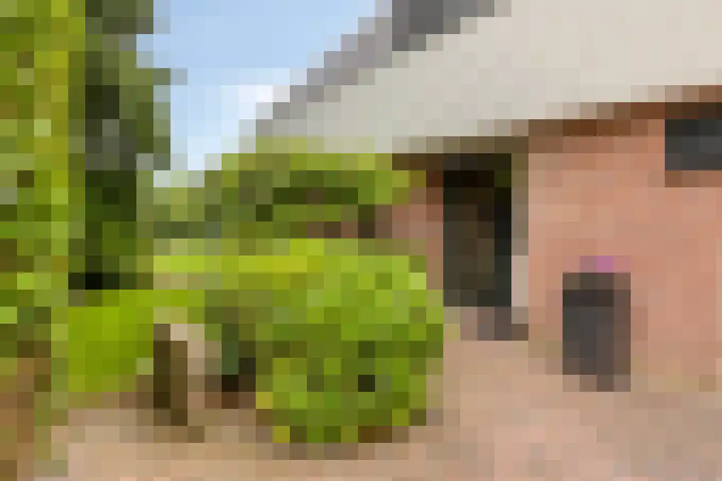 Kapberg 69 Zwaag thumbnail 16
