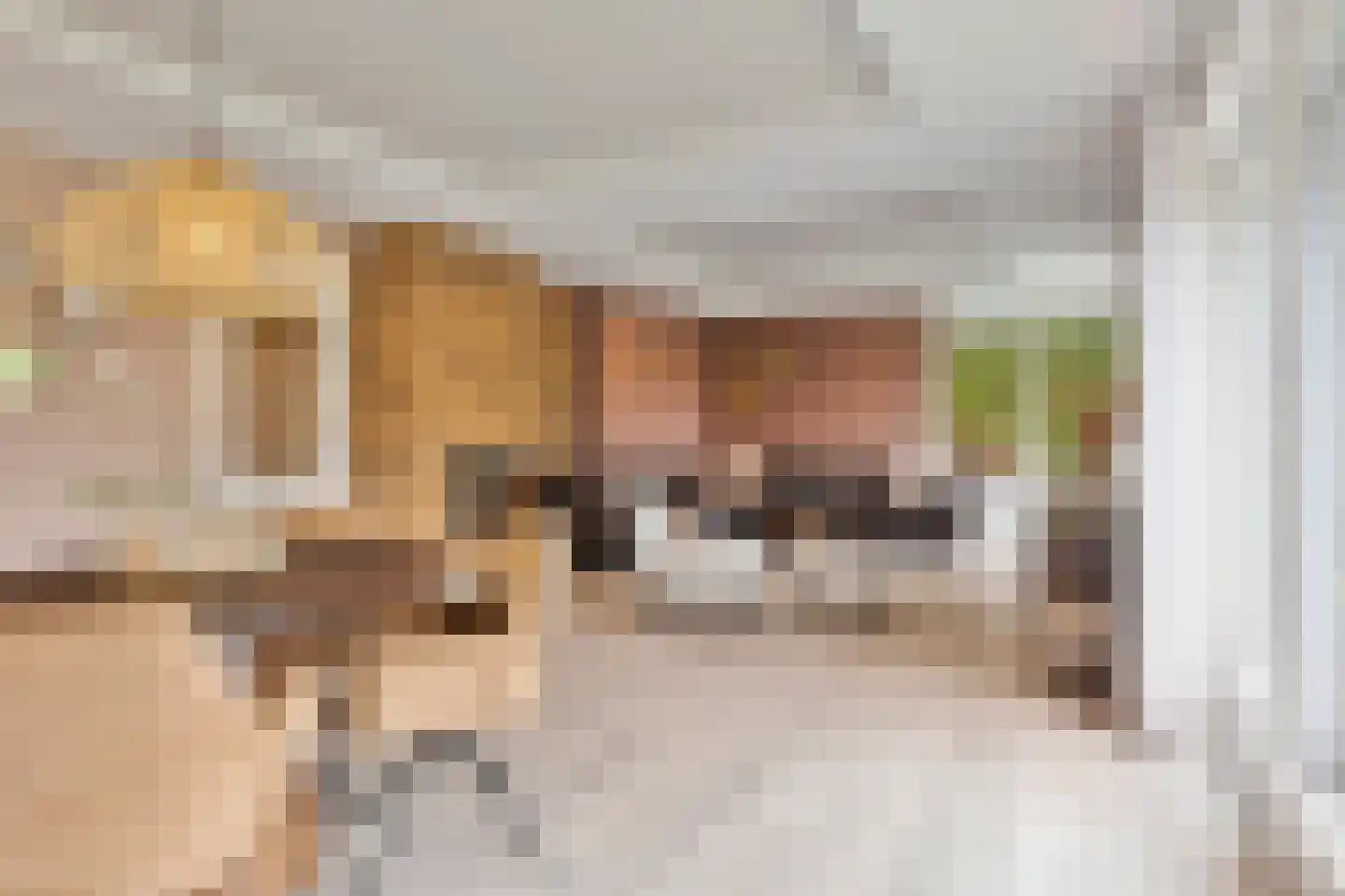 Kapberg 69 Zwaag thumbnail 21