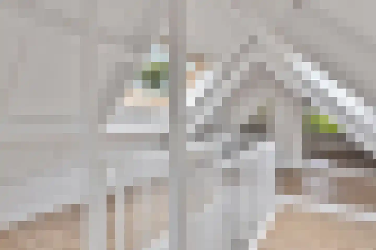 Kapberg 69 Zwaag thumbnail 46