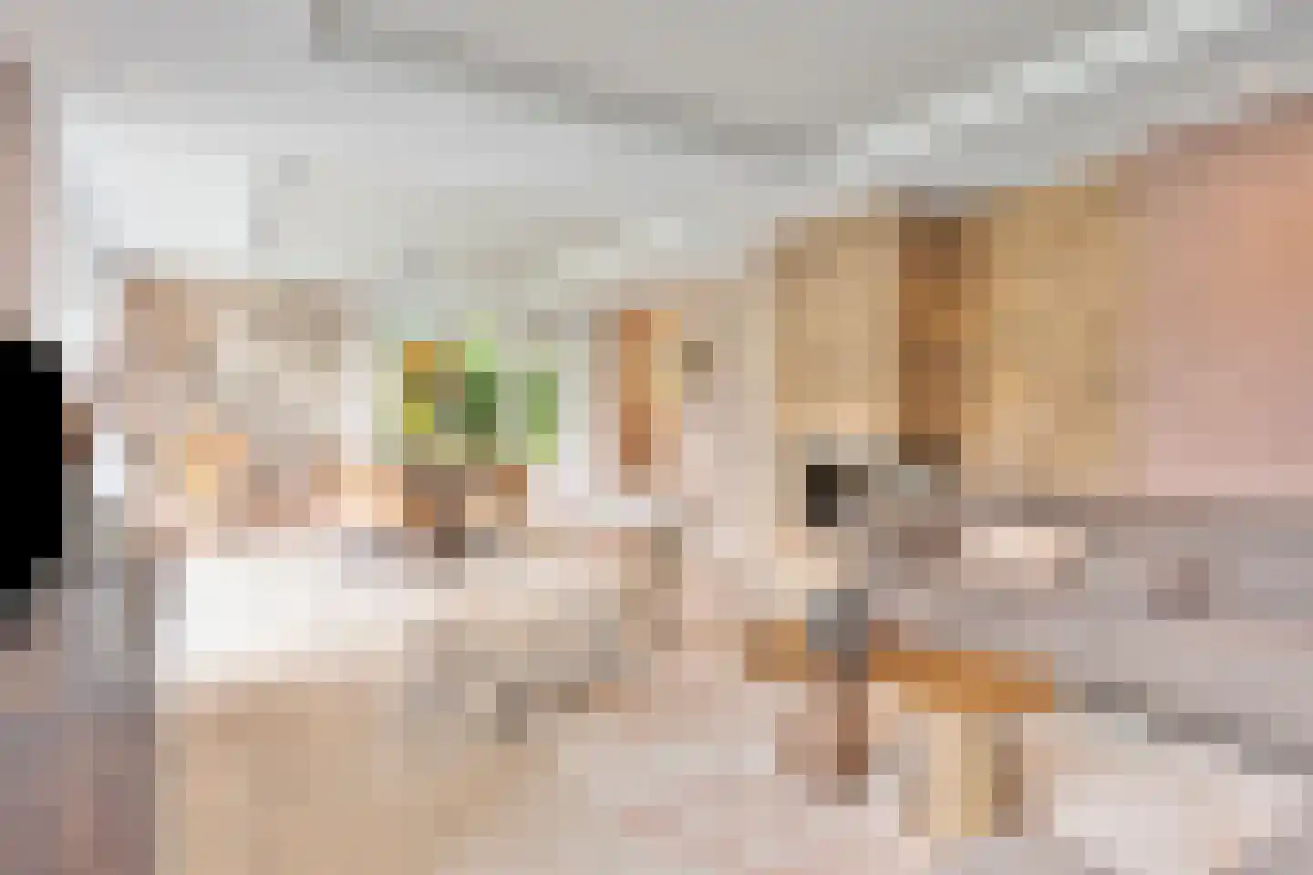 Kapberg 69 Zwaag thumbnail 5