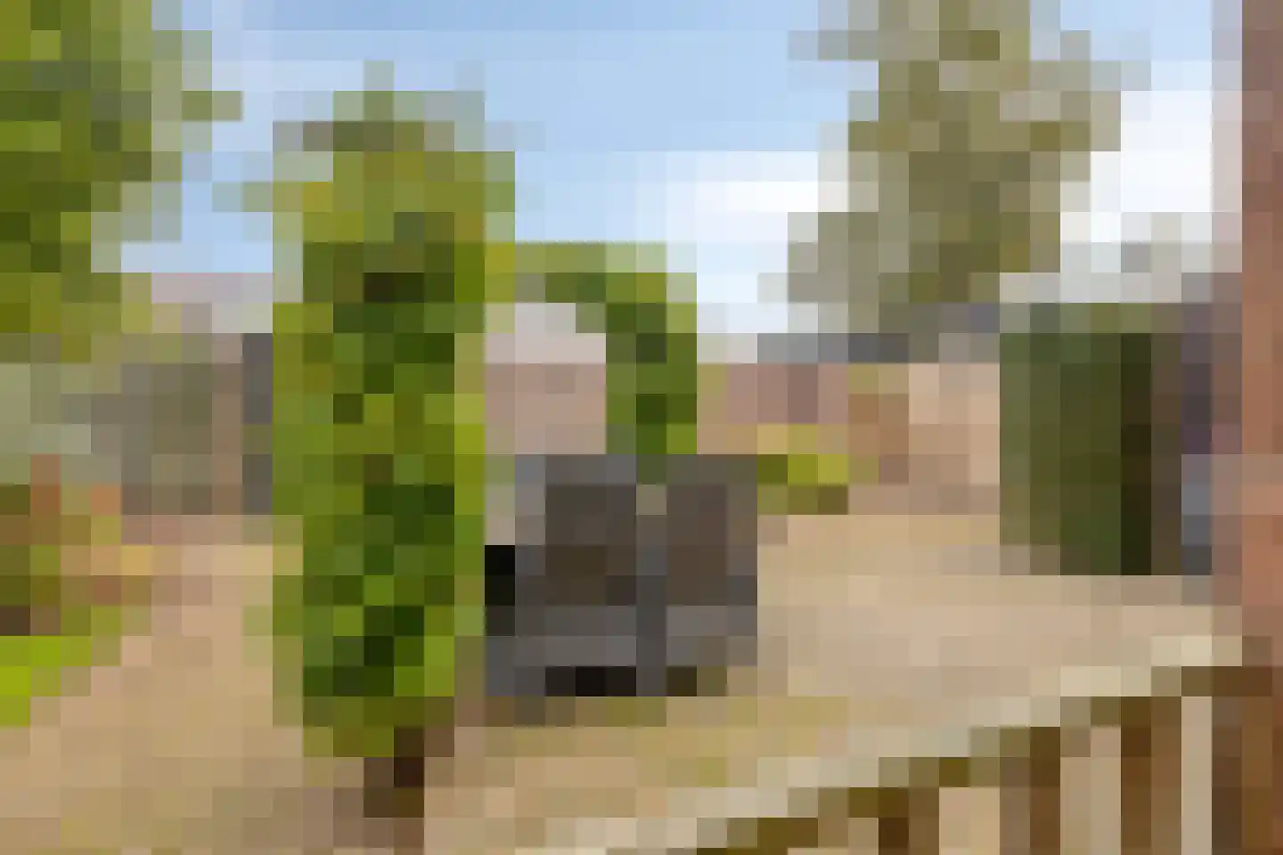 Kapberg 69 Zwaag thumbnail 52