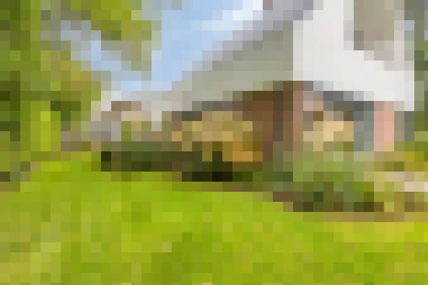 Kapberg 69 Zwaag thumbnail 56