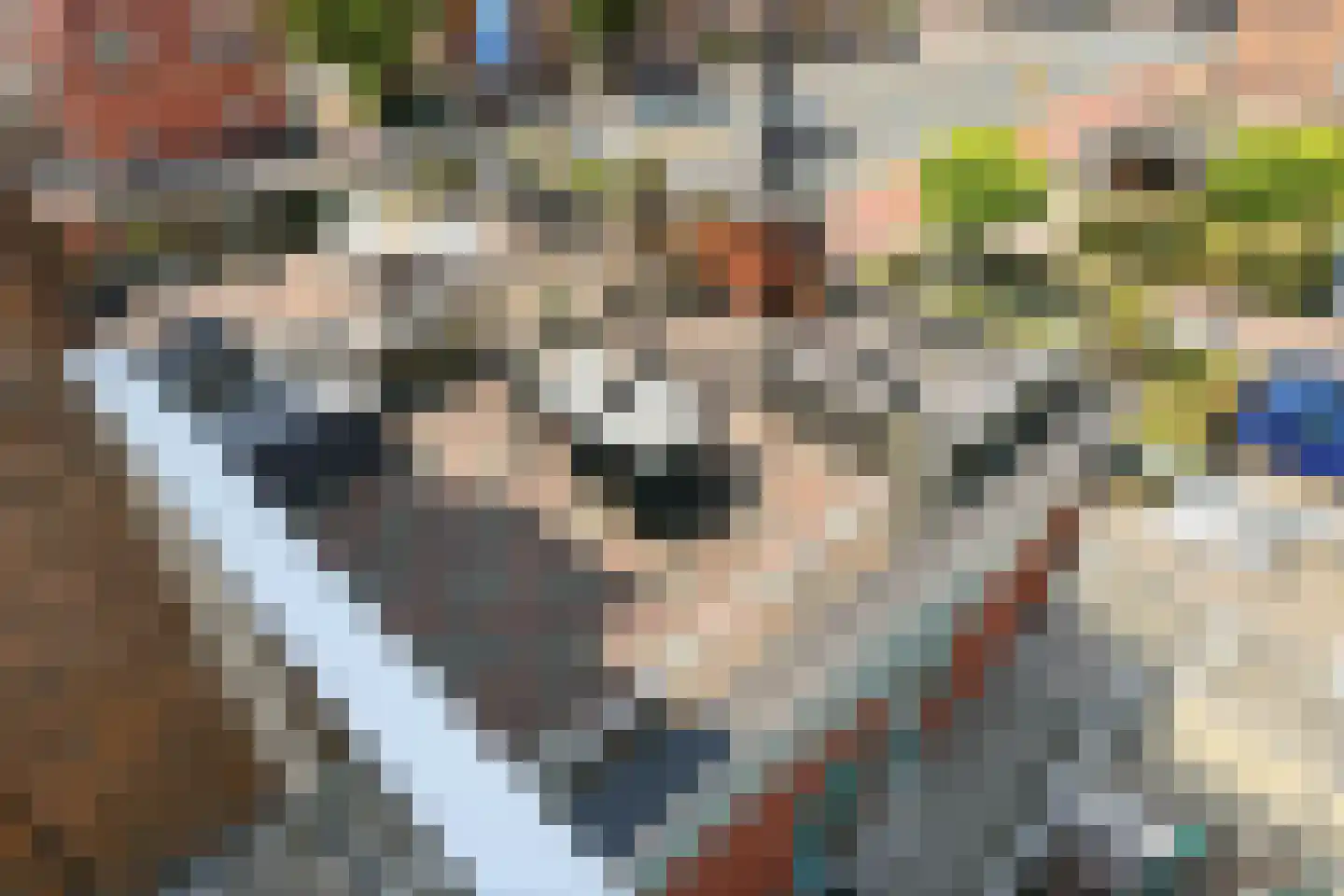 Kapelaan Gerrit Grootstraat 76 Zaandam thumbnail 8