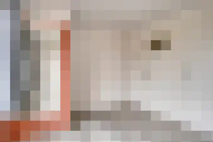 Kapelaan H.G.M. Koopmansstraat 23 Best thumbnail 25