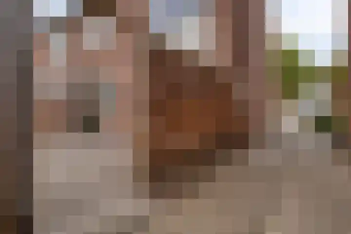 Kapelaan H.G.M. Koopmansstraat 23 Best thumbnail 31