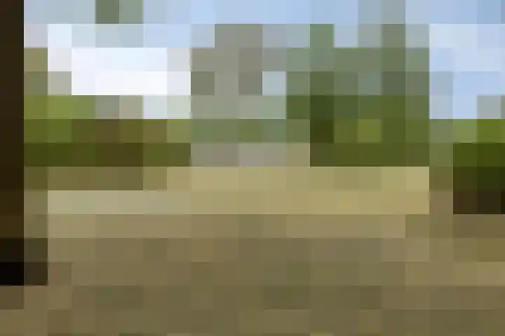 Kapelaan H.G.M. Koopmansstraat 23 Best thumbnail 33