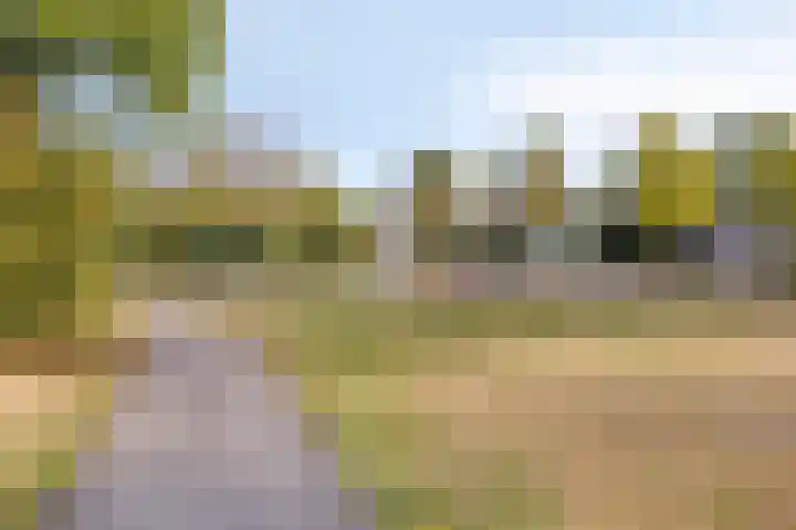 Kapelaan H.G.M. Koopmansstraat 23 Best thumbnail 34