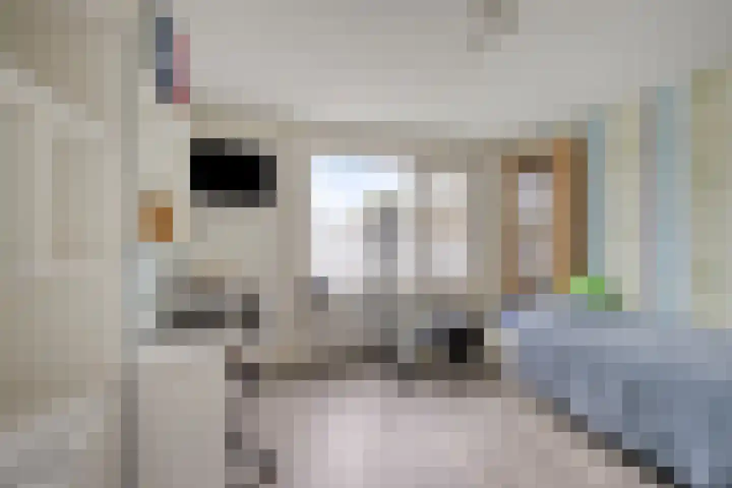 Kapelaan H.G.M. Koopmansstraat 36 Best thumbnail 19