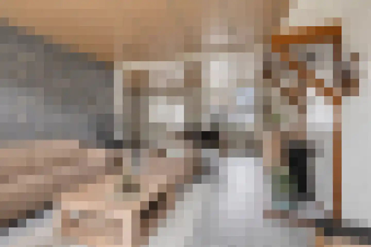 Kapelaan H.G.M. Koopmansstraat 36 Best thumbnail 6