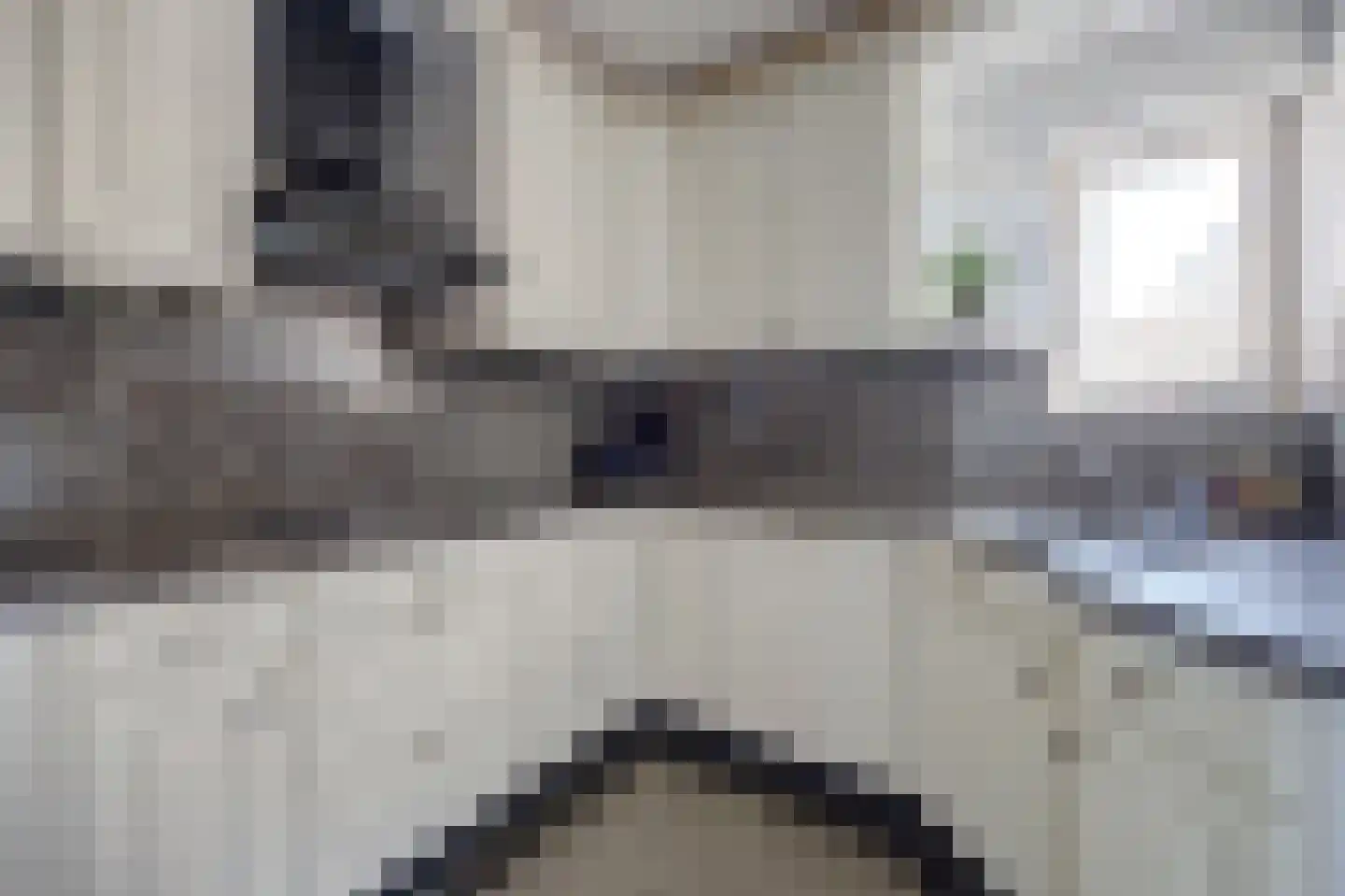 Kapelaan Heggestraat 15 Gaanderen thumbnail 11