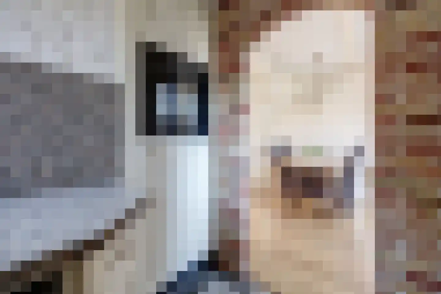 Kapelaan Heggestraat 15 Gaanderen thumbnail 13