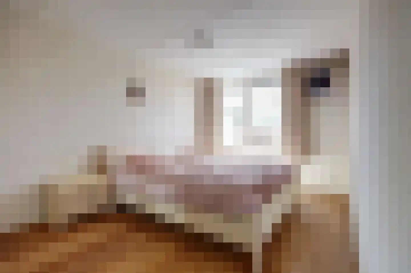 Kapelaan Heggestraat 15 Gaanderen thumbnail 16