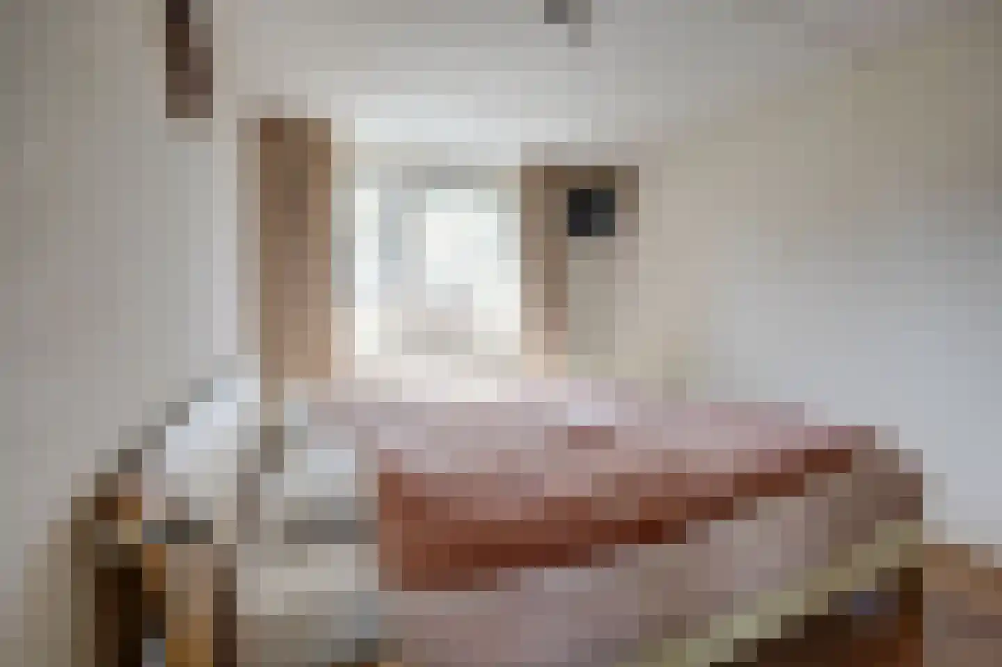 Kapelaan Heggestraat 15 Gaanderen thumbnail 18