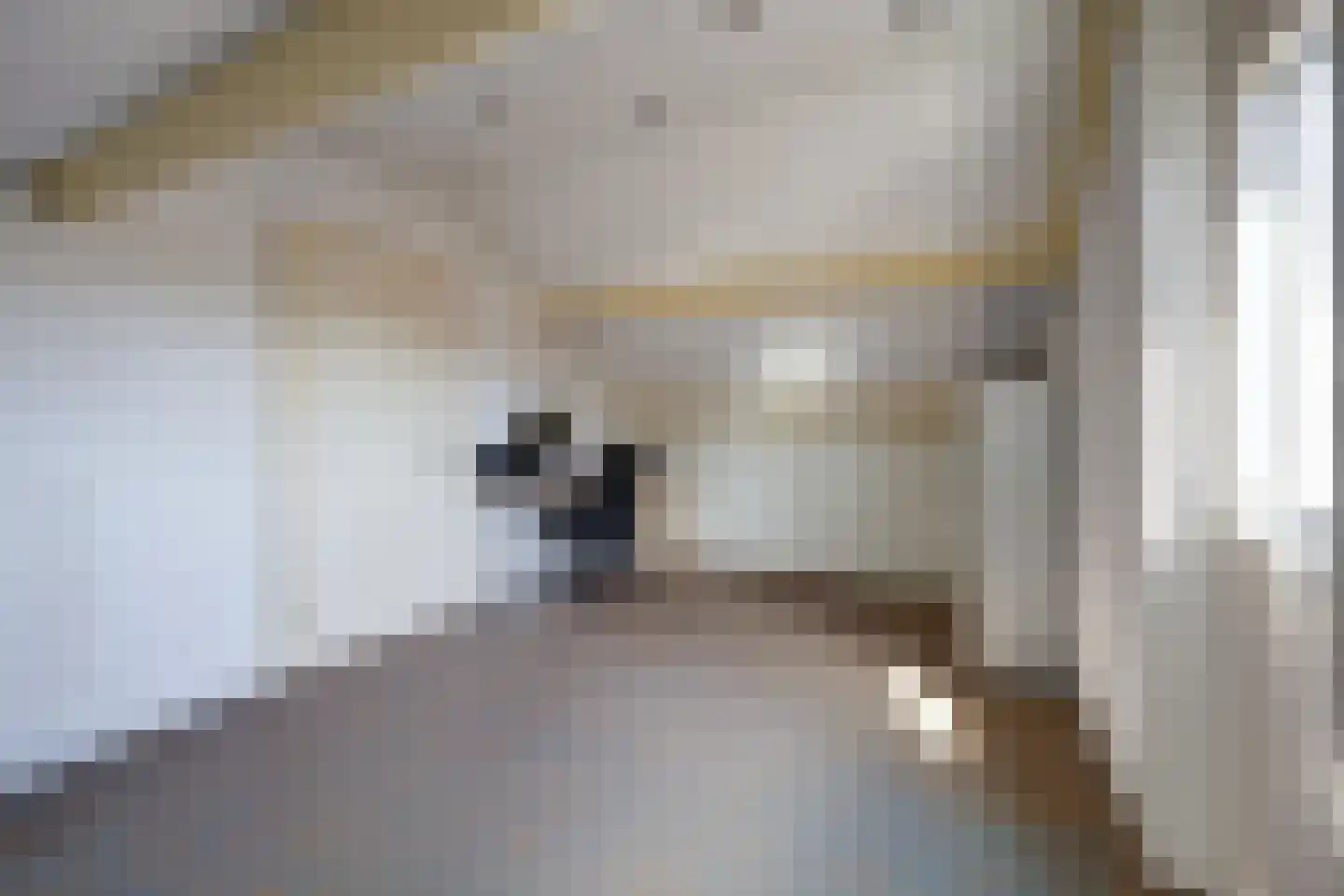 Kapelaan Heggestraat 15 Gaanderen thumbnail 27
