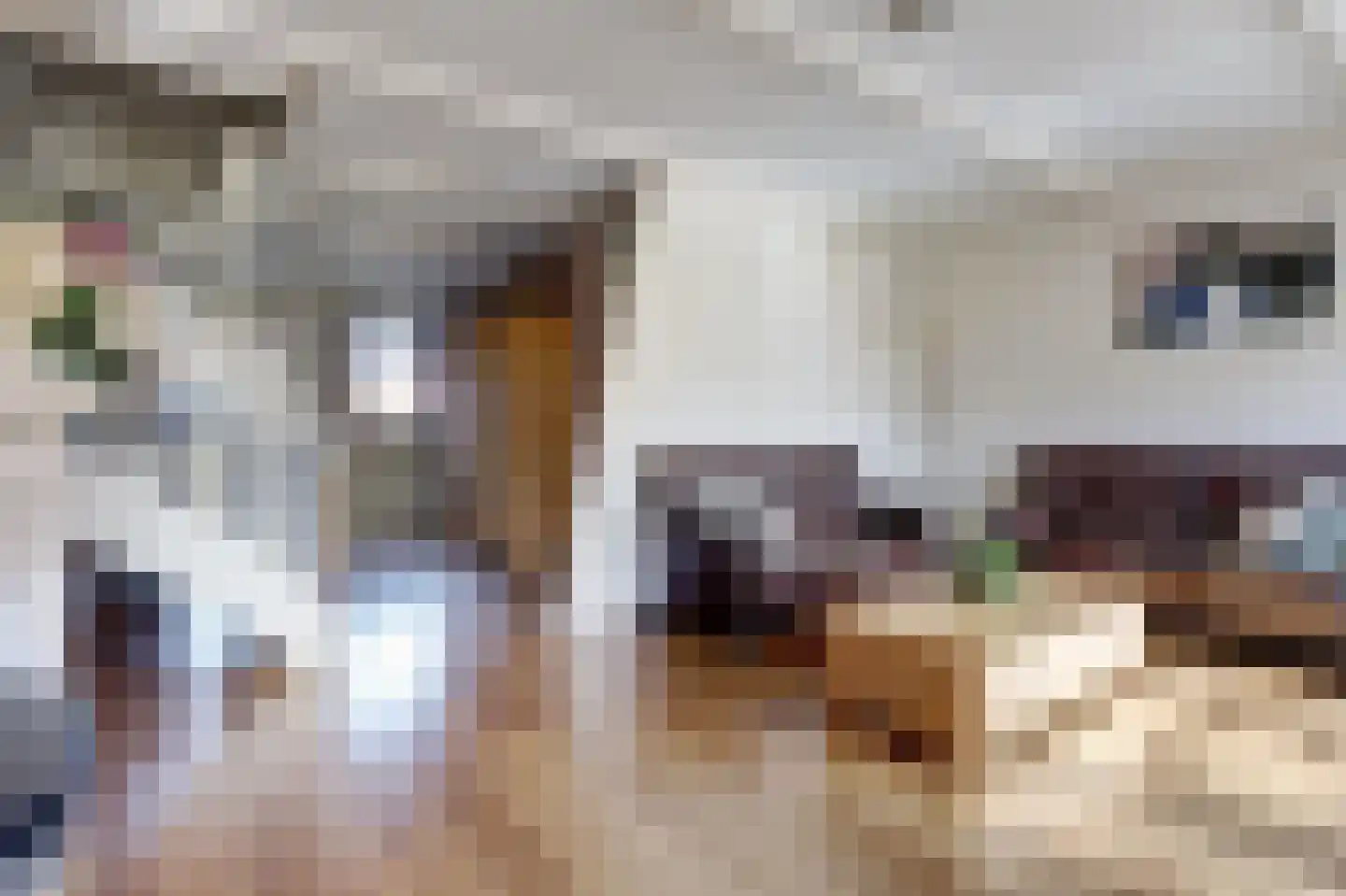Kapelaan Heggestraat 15 Gaanderen thumbnail 6