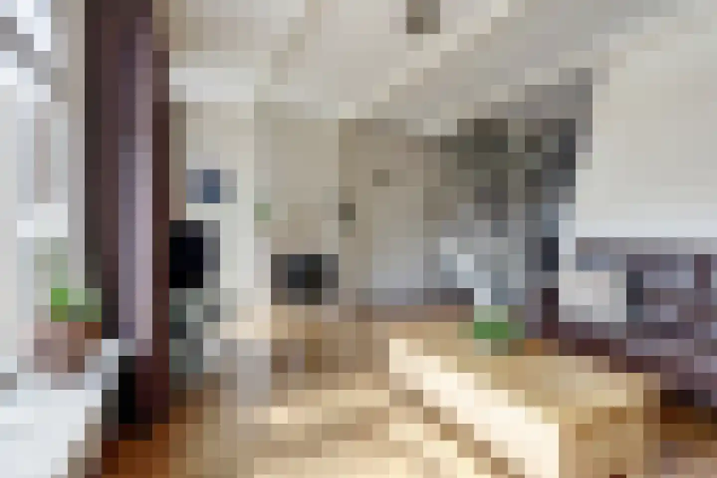 Kapelaan Heggestraat 15 Gaanderen thumbnail 7