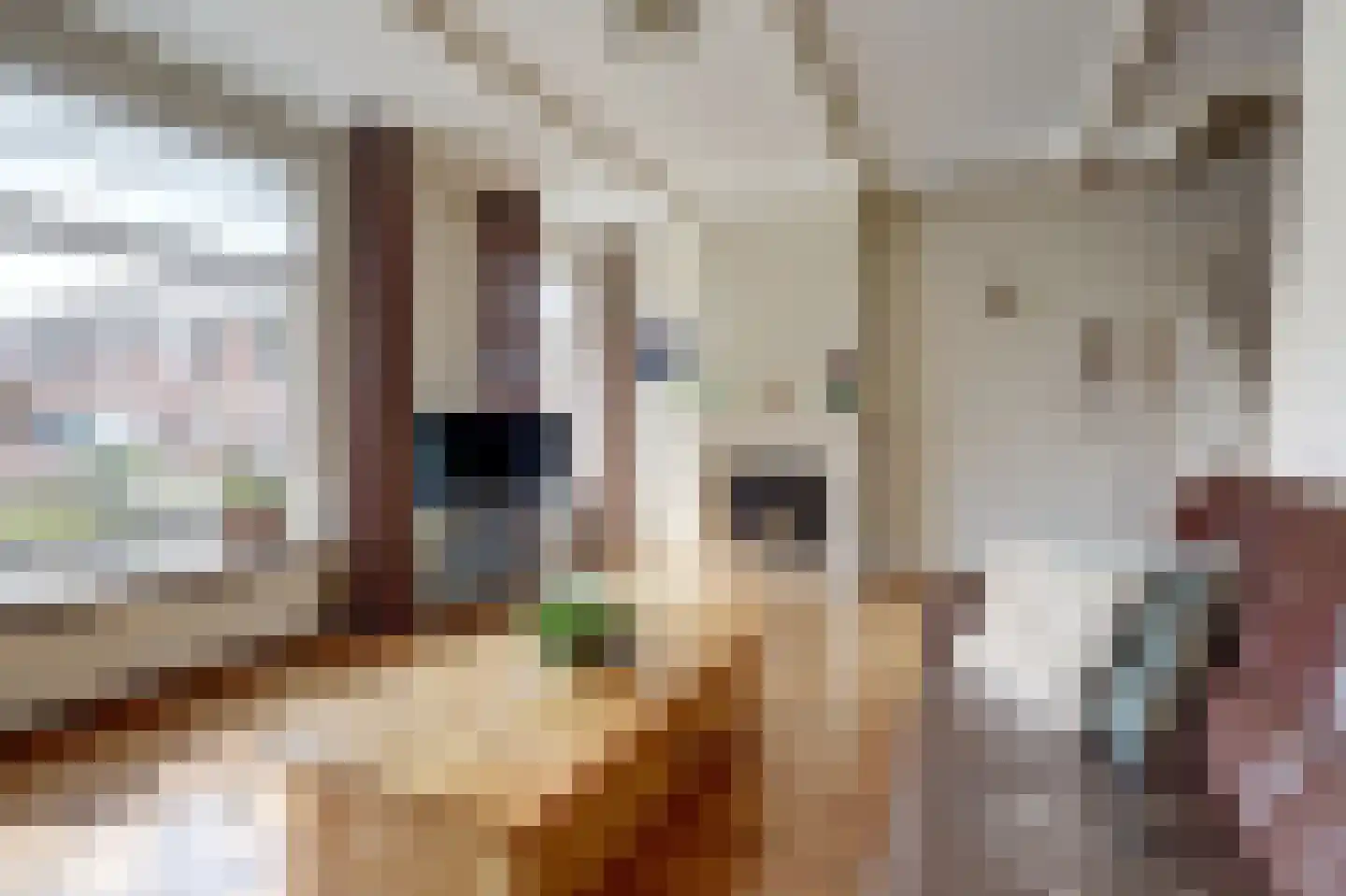Kapelaan Heggestraat 15 Gaanderen thumbnail 8