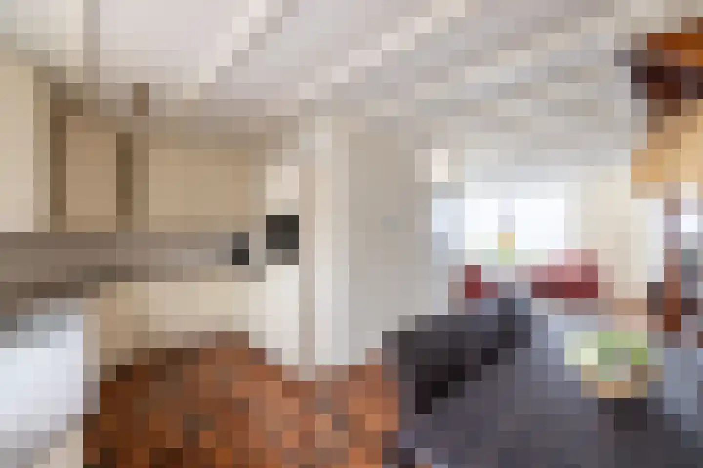 Kapelaan Heggestraat 25 Gaanderen thumbnail 11
