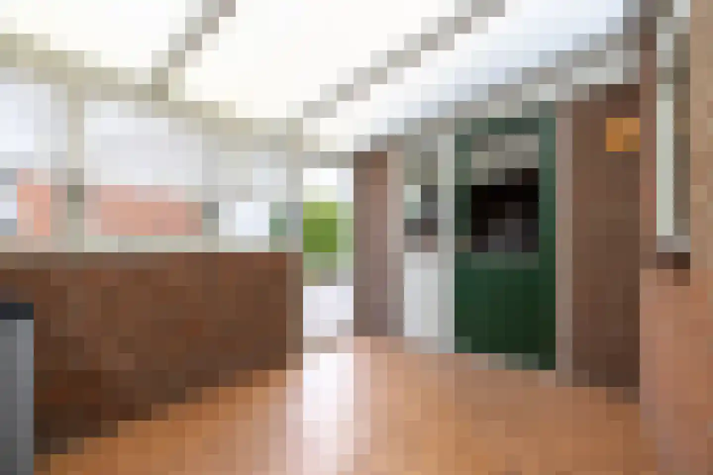Kapelaan Heggestraat 25 Gaanderen thumbnail 12