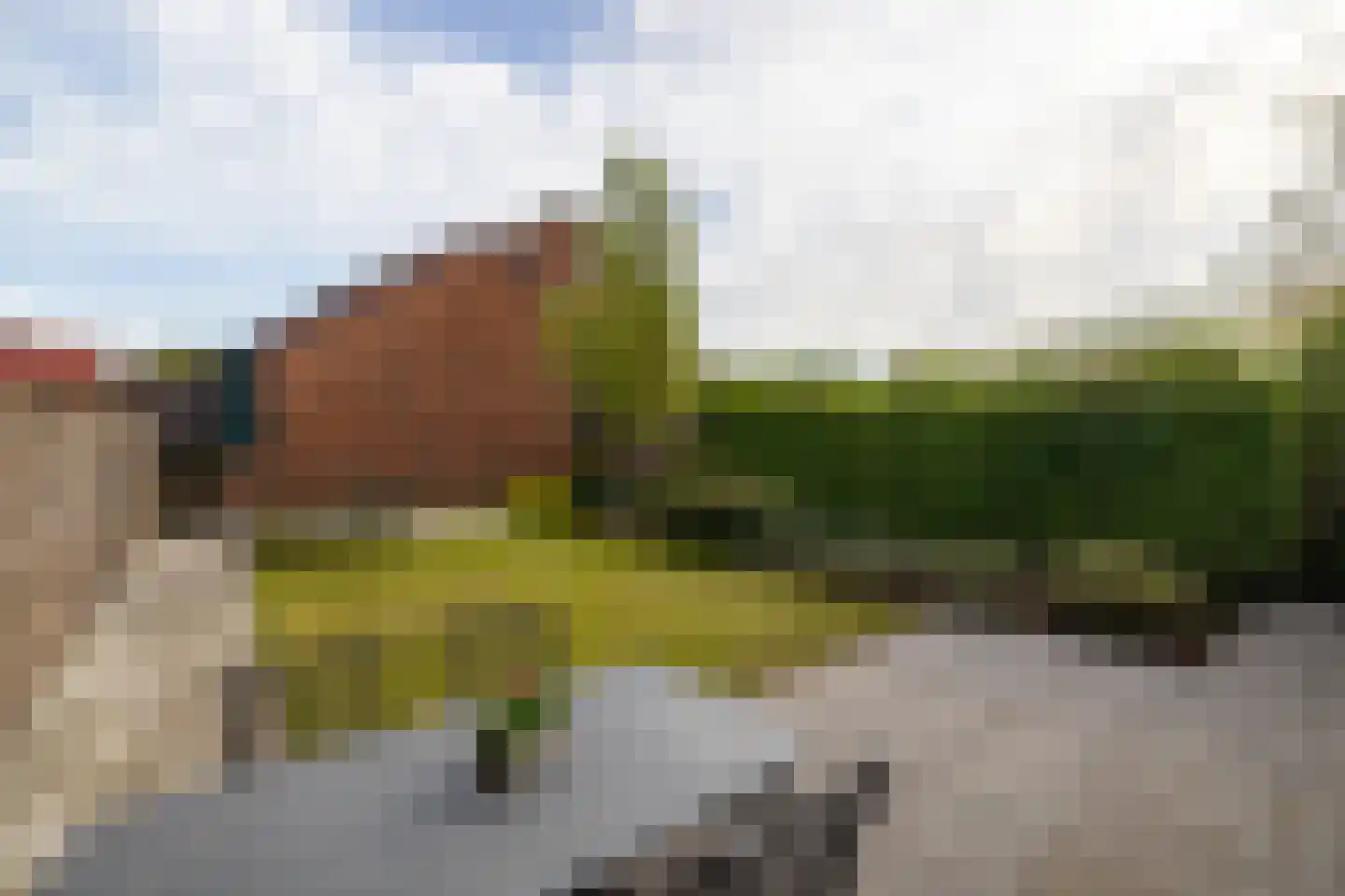 Kapelaan Heggestraat 25 Gaanderen thumbnail 14