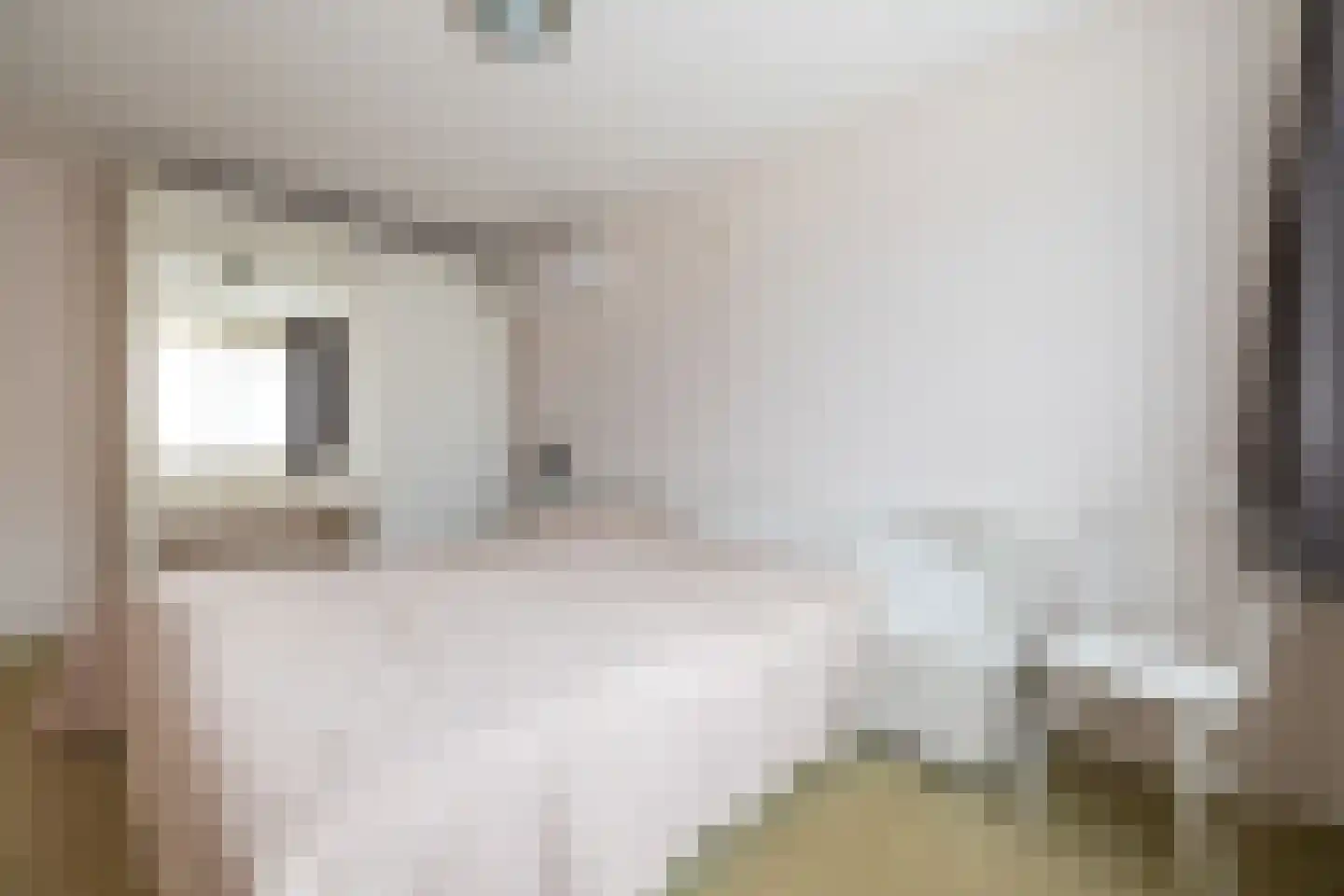 Kapelaan Heggestraat 25 Gaanderen thumbnail 24