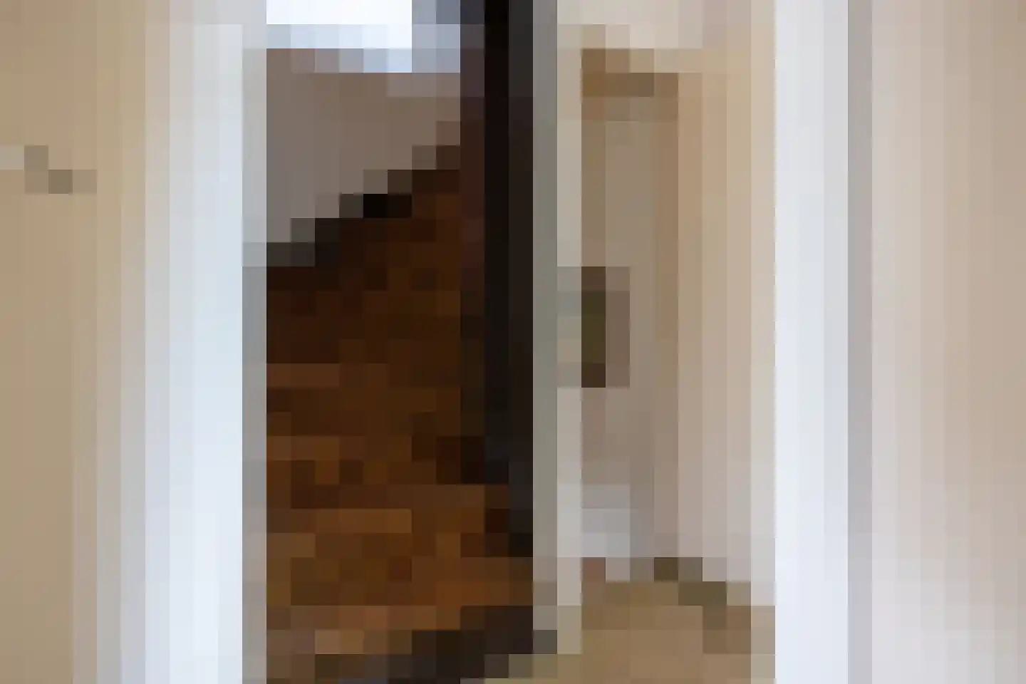 Kapelaan Heggestraat 25 Gaanderen thumbnail 33