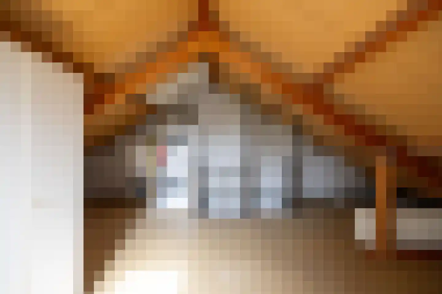 Kapelaan Heggestraat 25 Gaanderen thumbnail 36