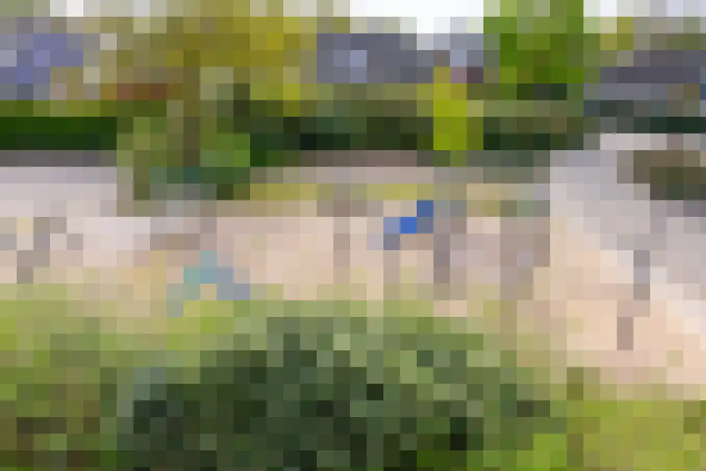 Kapelaan Heggestraat 25 Gaanderen thumbnail 43