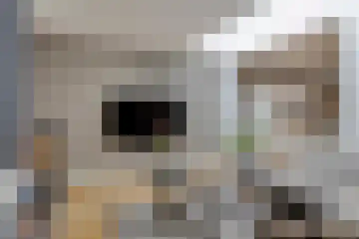 Kapelaan Huyberslaan 18 Oisterwijk thumbnail 28