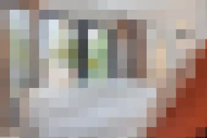 Kapelaan Huyberslaan 18 Oisterwijk thumbnail 33