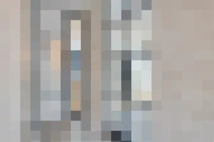 Kapelaan Huyberslaan 18 Oisterwijk thumbnail 4