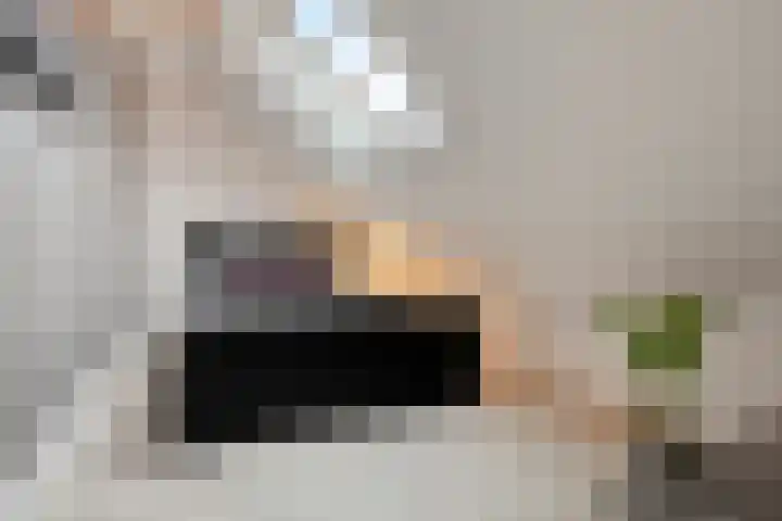 Kapelaan Huyberslaan 18 Oisterwijk thumbnail 43