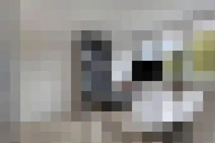 Kapelaan Huyberslaan 18 Oisterwijk thumbnail 45