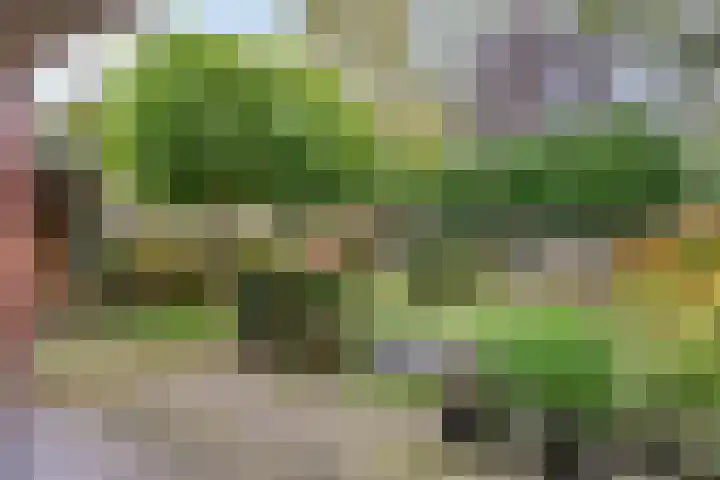 Kapelaan Huyberslaan 18 Oisterwijk thumbnail 47