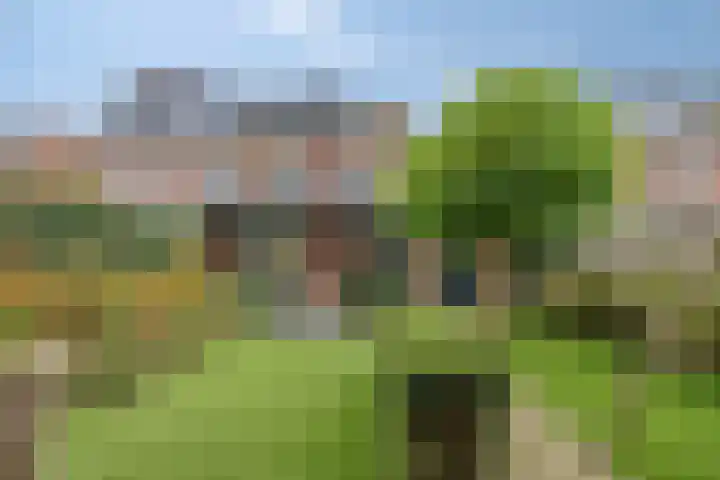 Kapelaan Huyberslaan 18 Oisterwijk thumbnail 49
