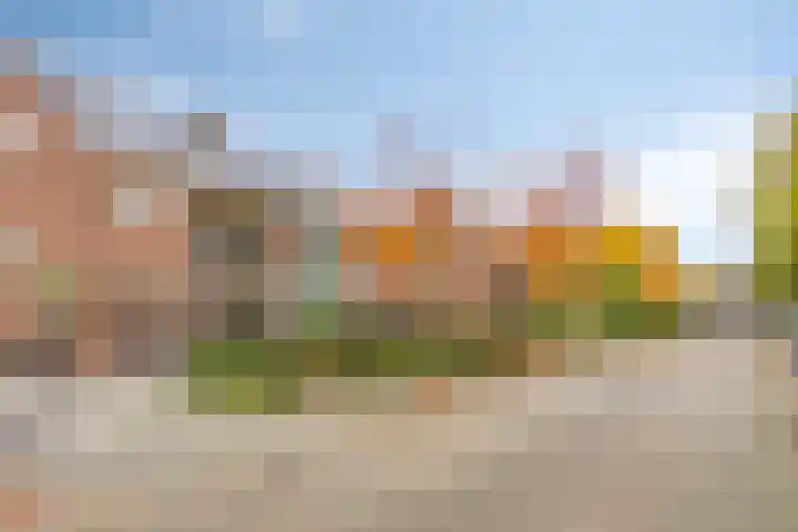 Kapelaan Huyberslaan 18 Oisterwijk thumbnail 53