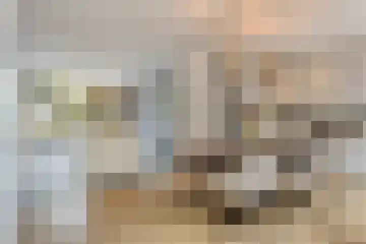 Kapelaan Huyberslaan 18 Oisterwijk thumbnail 8