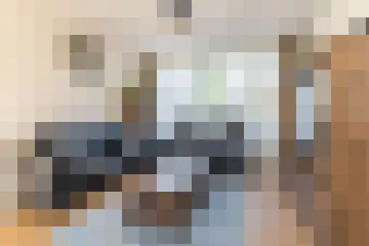Kapelaan J.A. Heerenstraat 22 Best thumbnail 12