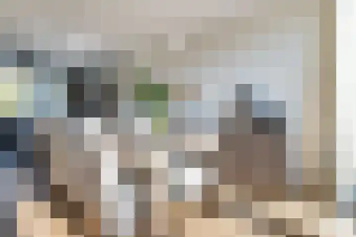 Kapelaan J.A. Heerenstraat 22 Best thumbnail 13