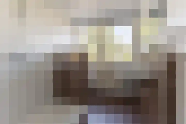 Kapelaan J.A. Heerenstraat 22 Best thumbnail 27
