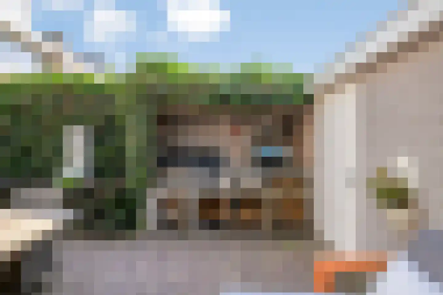 Kapelaan J.A. Heerenstraat 60 Best thumbnail 46