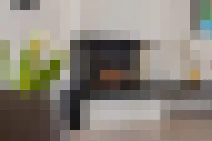 Kapelaan Jansenstrjitte 11 Sneek thumbnail 11