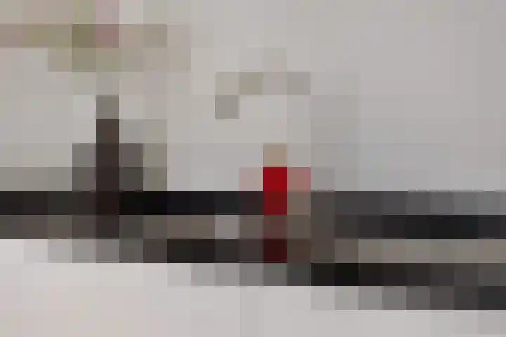 Kapelaan Jansenstrjitte 11 Sneek thumbnail 12
