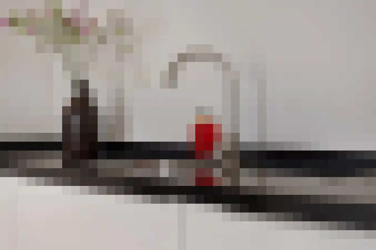 Kapelaan Jansenstrjitte 11 Sneek thumbnail 12
